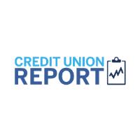 Credit Union Report image 4